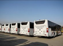 فعال‌سازی تدریجی ناوگان با رصد آنلاین؛ اتوبوس‌های قم تا سه برابر افزایش می‌یابد