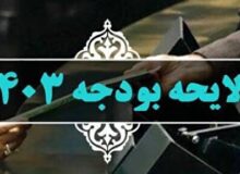 گزارش ایسنا از بررسی جداول بودجه ۱۴۰۳ در مجلس