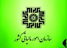 شناسایی فرار مالیاتی ۸۶۰ میلیارد تومانی از یک دلال پتروشیمی در استان فارس