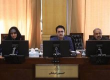 تاکید دبیر شورای فرهنگ عمومی بر حمایت از فعالان بخش مدولباس