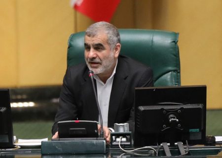 نیکزاد: مشکلات معیشتی و اقتصادی در سه‌شنبه نظارتی مجلس بررسی‌می‌شود